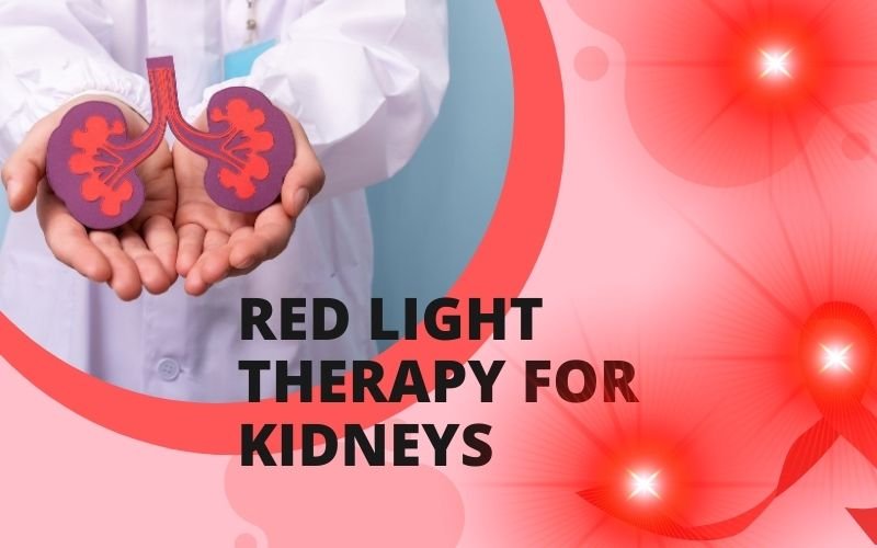 Image of kidneys with text red light therapy for kidneys